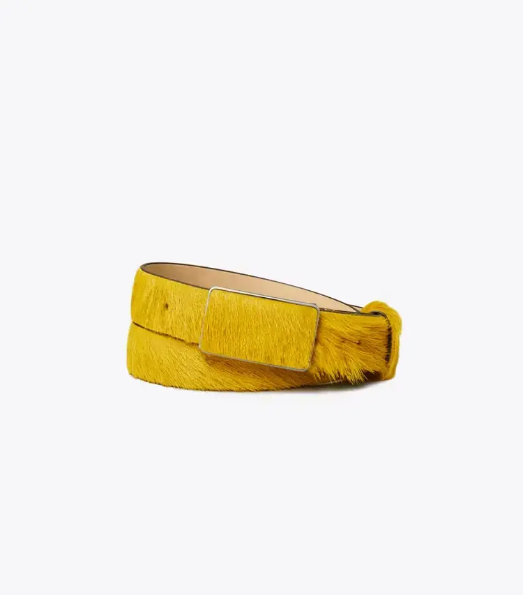 Plate Belt